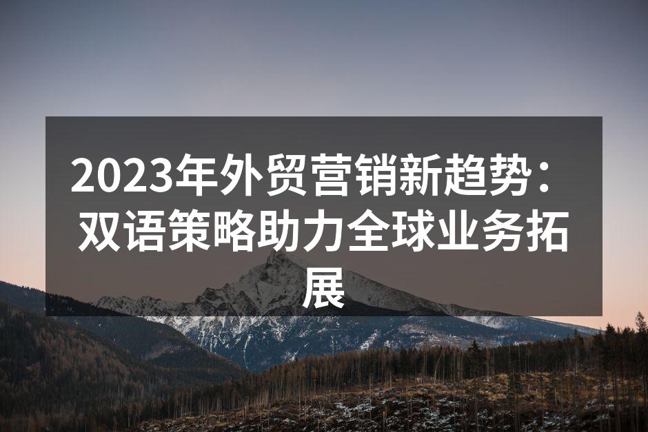 2023年外贸营销新趋势：双语策略助力全球业务拓展